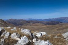 long view.jpg